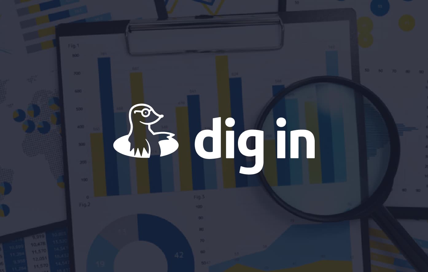 Proyecto Digin